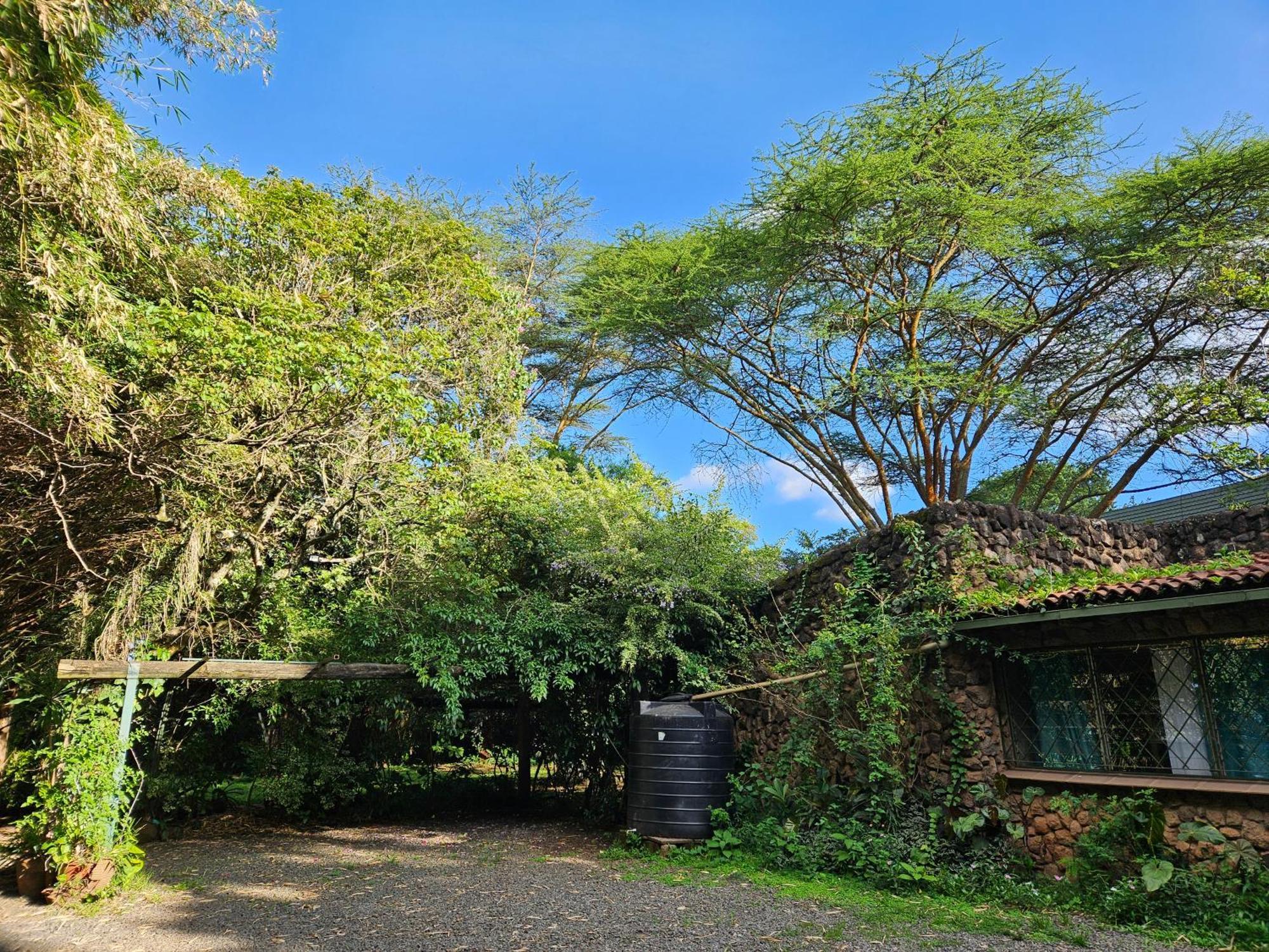 Mad Vervet Nairobi Backpackers Hostel Εξωτερικό φωτογραφία
